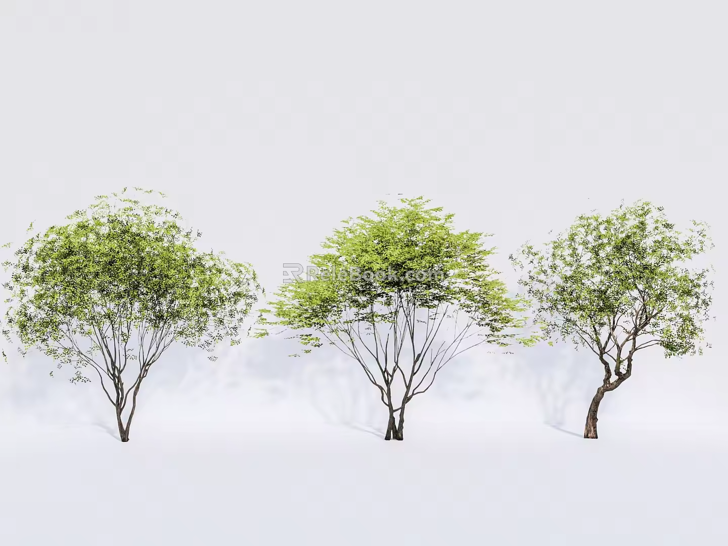 2D plant modeling tree inclined floating tree landscape tree arbor 3d model