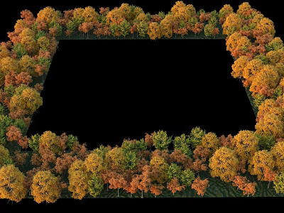 Arbor Trees Forming Square Frame With Autumn Yellow Orange Green Leaves On Grass Ground 3d model