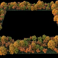 Arbor Trees Forming Square Frame With Autumn Yellow Orange Green Leaves On Grass Ground