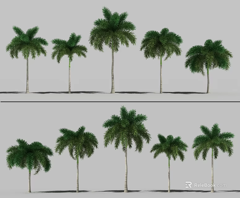 Various Types of Palm Trees in Different Sizes for Landscape 3d model 