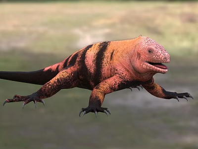 Colorful Striped Reptile In Natural Grassland 3d model