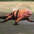 Colorful Striped Reptile In Natural Grassland