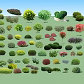 Diverse Ornamental Arbor Varieties Featuring Pruned Shapes And Colorful Foliage For Garden Landscaping