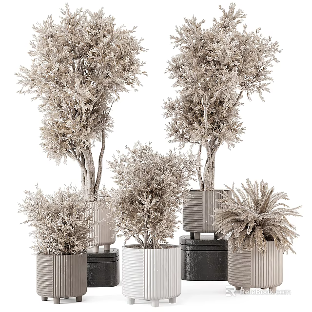 Lush Bonsai Potted Plants In Metallic Containers With Various Heights And Natural Shapes 3d model 