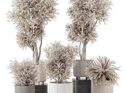 Lush Bonsai Potted Plants In Metallic Containers With Various Heights And Natural Shapes 3d model
