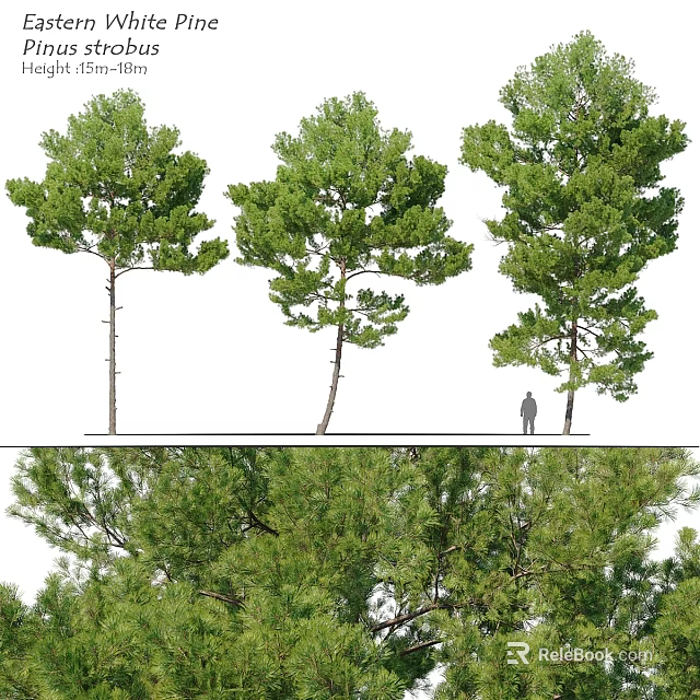 Natural Themed Decorative Ornament Set With Trees And Small Figure 3d model 