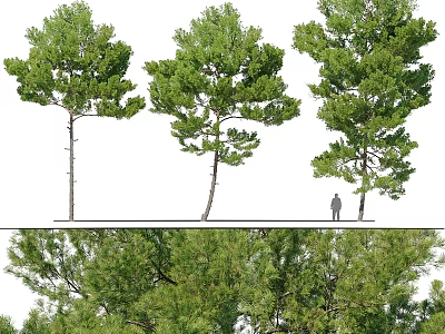 Natural Themed Decorative Ornament Set With Trees And Small Figure 3d model