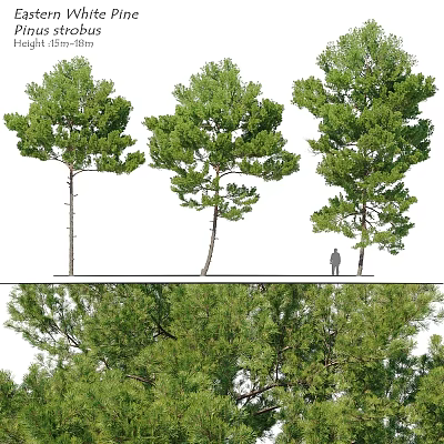 Natural Themed Decorative Ornament Set With Trees And Small Figure 3d model