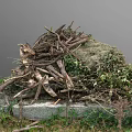 Green Plants Covering Mound With Twigs Moss Leaves And Stones Base