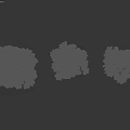 Different Types Of Arbor Trees With Lush Green Foliage And Varied Crown Shapes