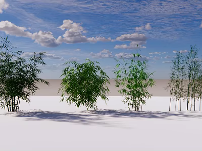 Bamboo Clusters Of Various Heights Under Blue Sky With Fluffy Clouds 3d model