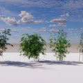 Bamboo Clusters Of Various Heights Under Blue Sky With Fluffy Clouds 3d model