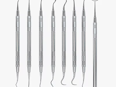 High Precision Stainless Steel Medical Instruments With Professional Design And Various Shapes For Examination 3d model