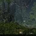 Beautiful Lush Tropical Forest Scenery With Giant Ancient Banyan Trees And Dense Green Vegetation