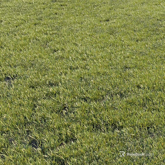 Decorative Ornament Combination Placed On Lush Green Grass Field 3d model 