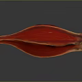 Red Flower Petal With Yellow Veins On Dark Reflective Surface