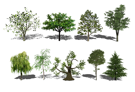 Modern tree landscape tree arbor landscape sketch 3d model