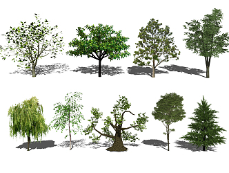 Modern tree landscape tree arbor landscape sketch 3d model