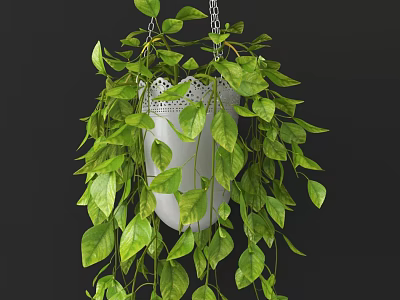 White Hanging Basket Plant with Lush Trailing Green Leaves for Home Decor 3d model