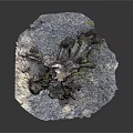Rustic Tree Stump With Green Moss And Gray Gravel On Textured Base