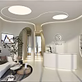 Modern SPA Reception Area With Minimalist Design
