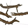 Natural Stone and Wood Decorative Branches for Rustic Home Design Projects 3d model