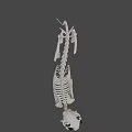 Cartoon Style 3D Skeleton Dog Game Movie Character With Black Eyes