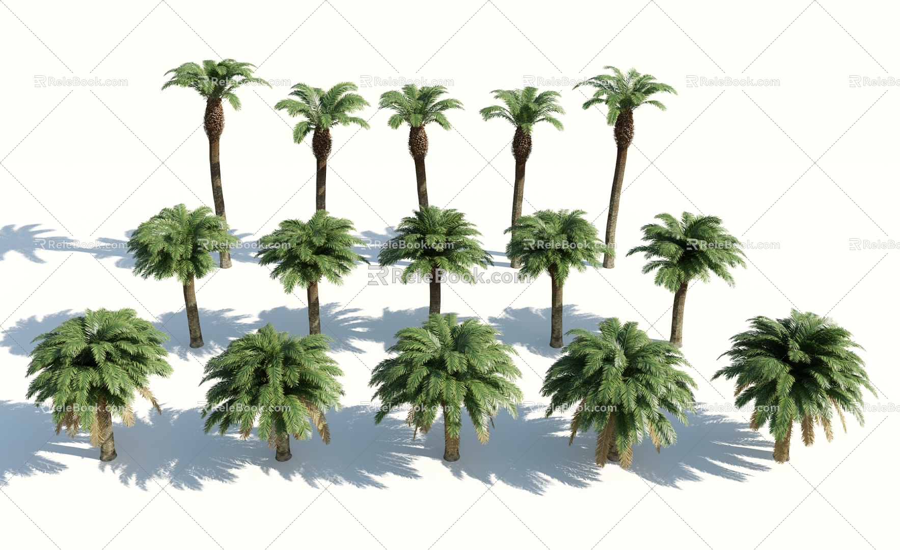 Modern Palm Tree 3d model