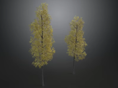 Two Tall Trees With Vibrant Yellow Leaves Against Dark Background 3d model