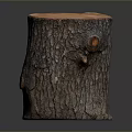Wooden Stump Decorative Piece With Natural Bark Texture For Home Decor