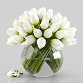 Fresh White Tulips Arranged in Transparent Glass Vase with Green Stems