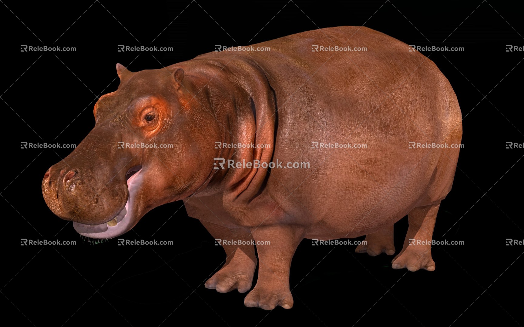 Modern Hippo 3d model