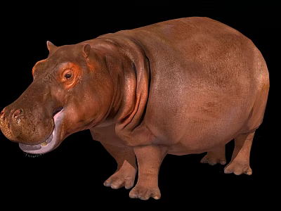 Large Reptile Crocodile With Scaly Skin And Powerful Jaws In Natural Wetland Habitat 3d model