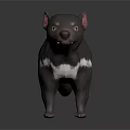Realistic 3D Model of Tasmanian Devil Featuring Black Fur White Chest Patch and Pink Ears