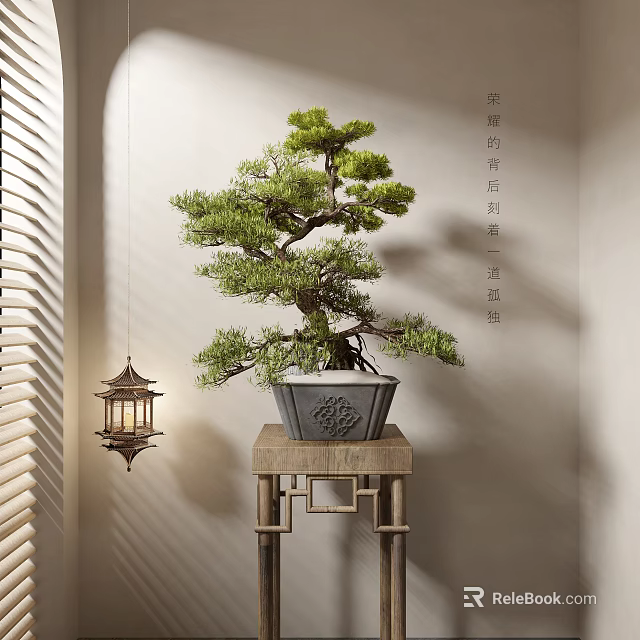 Bonsai Pine Plant Display on Antique Wooden Stand with Chinese Lantern and Neutral Wall 3d model 