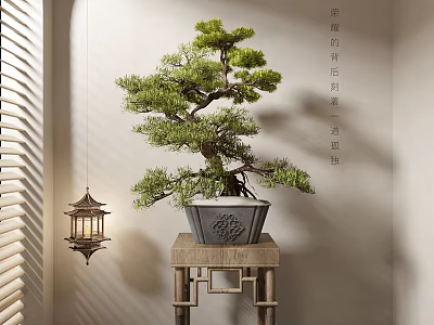 New Chinese Style Green Plant Potted Plant Green Plant Potted Plant Bonsai Pine Tree Welcome Pine 3d model