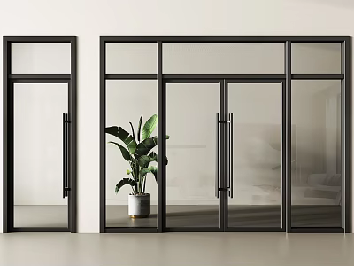 Modern Black Frame Glass Double Doors In Interior With Green Plant 3d model