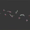 Colorful Birds with Spreading Wings and Resting Positions on Black Background with Reflective Surface
