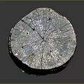 Natural Wooden Stump With Wood Stone Material Featuring Organic Grain And Green Moss Texture