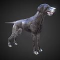 Low Poly Style Black Dog Figurine As Decorative Ornament Set With Geometric Design