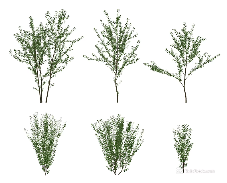 Different Tree Varieties with Green Foliage and Distinct Growth Shapes 3d model