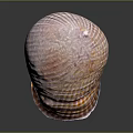 Vibrant Sea Snail With Striped Shell On Reflective Dark Background 3d model