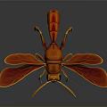 Realistic Orange Wasp 3D Model Featuring Detailed Wings Antennae And Body Features