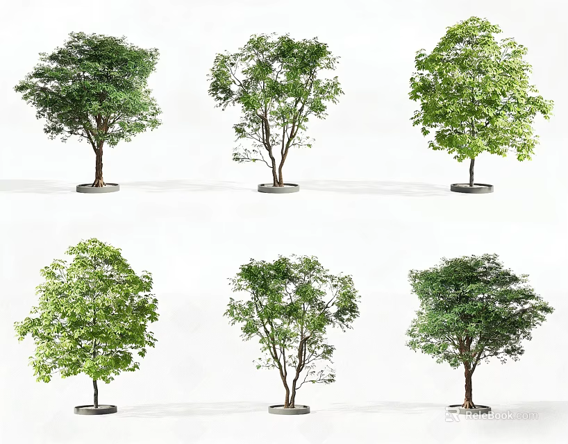 Various Tree Pits With Different Tree Species In Urban Landscape Design 3d model 