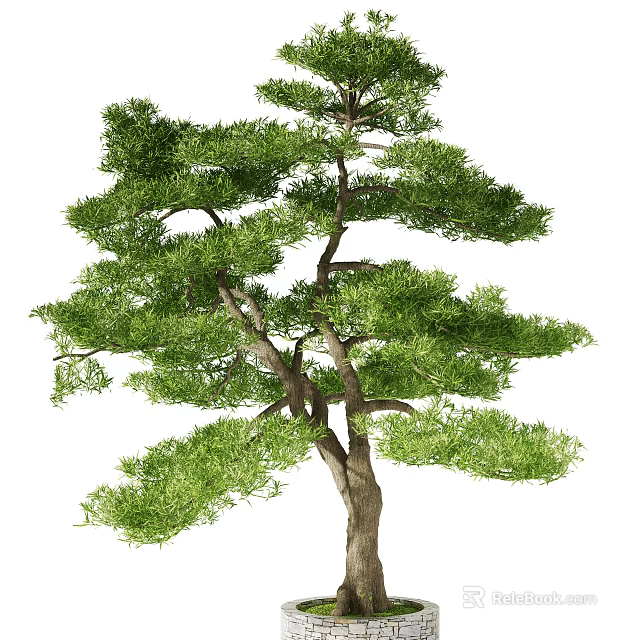 Lush Green Arbor with Dense Foliage and Sturdy Trunk in Natural Scene 3d model 