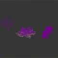 Three Different Plants Featuring Bare Tree Purple Flowering Bush And Green Leafy Tree