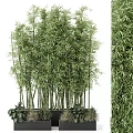 Tall Green Bamboo Potted Plant with Lush Foliage for Indoor Home Decoration
