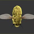 Yellow Fuzzy Insect With Transparent Wings Black Eyes And Reflection On Dark Surface