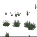 Various Types of Garden Flowers And Herbs With Purple Blooms And Green Foliage