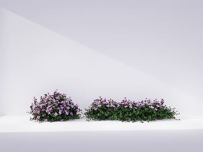 Modern shrub ball flower plant cover 3d model